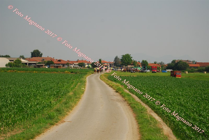 DSC_4974.JPG